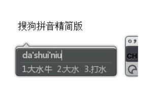 PC搜狗输入法v16.3.0.3318精简优化版