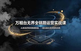 万相台无界全链路运营实战课，从底层逻辑到数据复盘，一套标准化投放落地流程
