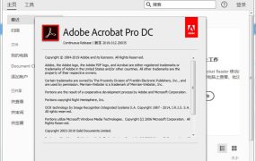 Acrobat Pro DC 2025.001.21184绿色版