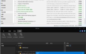 NTLite2025绿色版 打造轻量高性能系统
