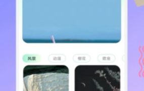 荷花壁纸 V1.2高级版