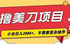 撸美刀，单日收入2000+，小白可做