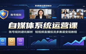 自媒体系统运营课：账号规则避坑解析，短视频直播投流多赛道变现教程