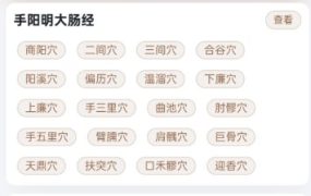 穴位图谱大全1.0.6