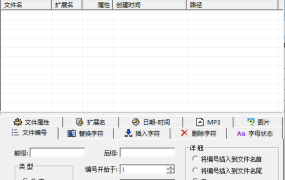 CHB Renmaer批量改名v2.5绿色版