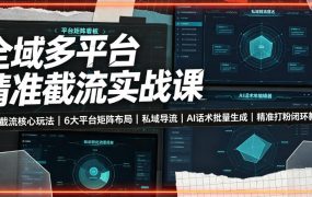 全域多平台精准截流实战课｜7大截流核心玩法、6大平台矩阵布局、私域导流、AI话术批量生成、精准打粉闭环教程