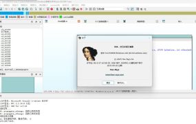 全平台IDA Pro 9.3beta泄露版+注册机