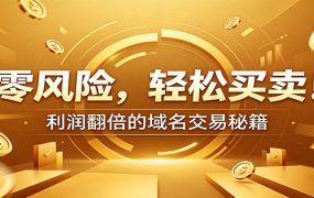 零风险域名交易实战秘籍：新手安全买卖教学，选品定价谈判实现收益翻倍