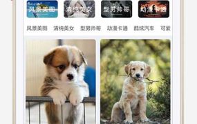 H5自适应响应式相册图片网站模板 – 图片壁纸类网站源码下载