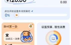 咔皮记账0.8.60高级版
