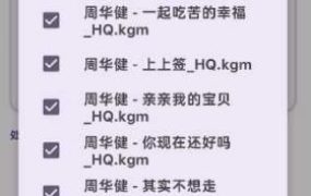 酷狗音乐解密器v1.0