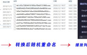 老司机隐私播放器SecureVault Player V0.8.9