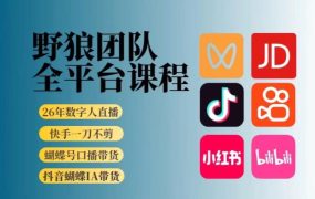 野狼团队2026新版全平台短视频带货教学，打开流量突破口，开始Ai带货(更新0709)