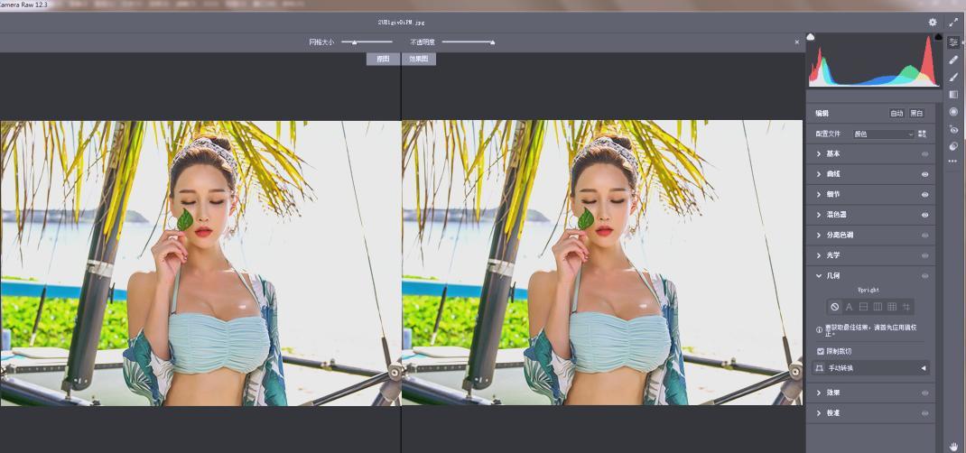 RAW处理Adobe Camera Raw v18.2.2中文版 RAW处理Adobe Camera Raw v18.2.2中文版